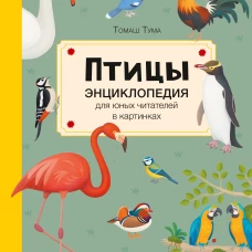 Томаш Тума: Птицы