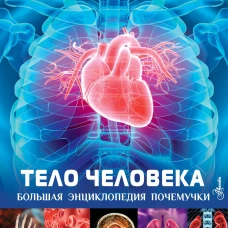 Тело человека