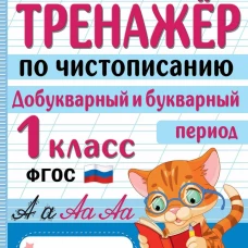 Тренажер по чистописанию. Добукварный и букварный период. 1 класс