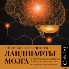 Ландшафты мозга
