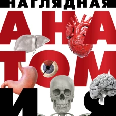 Наглядная анатомия человека. Подробный атлас с иллюстрациями