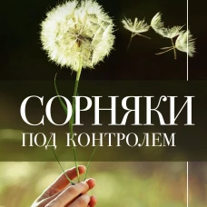 Сорняки под контролем. Избавляемся от нежелательных соседей