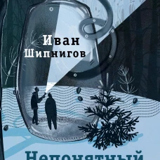 Непонятный роман