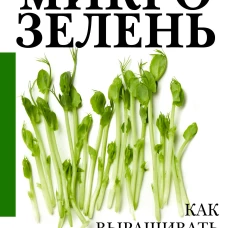 Микрозелень. Как выращивать и с чем есть