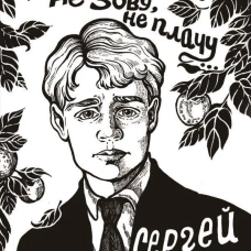 Не жалею, не зову, не плачу...
