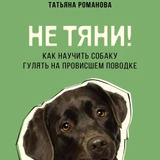 Не тяни! Как научить собаку гулять на провисшем поводке