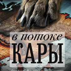 В потоке Кары