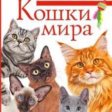 Кошки мира. Определитель
