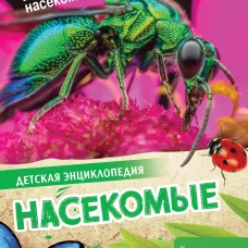 Насекомые