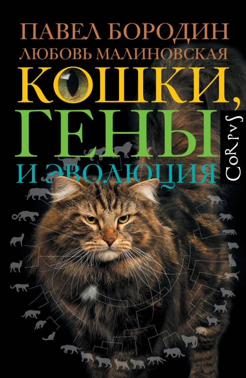Кошки гены и эволюция