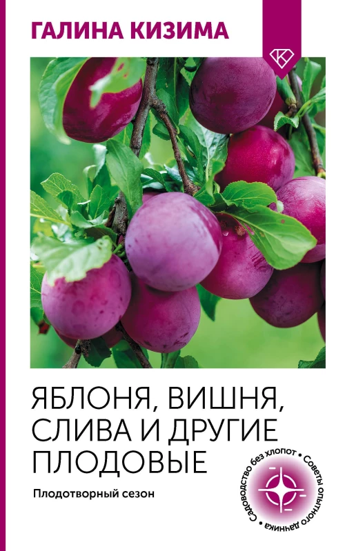 Яблоня вишня слива и другие плодовые. Плодотворный сезон