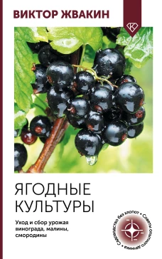 Ягодные культуры. Уход и сбор урожая винограда малины смородины