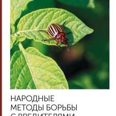 Народные методы борьбы с вредителями и болезнями сада и огорода