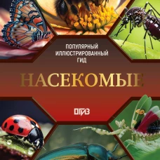 Насекомые. Иллюстрированный гид
