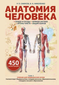 Анатомия человека. Сердце и сосуды нервная система органы чувств общий покров