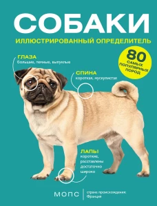 Собаки. 80 самых популярных пород. Иллюстрированный определитель