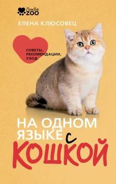 На одном языке с кошкой. Советы рекомендации уход