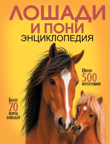 Лошади и пони