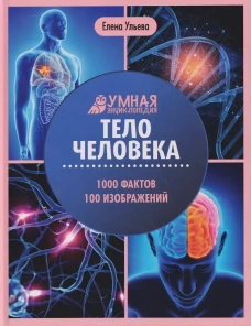 Тело человека