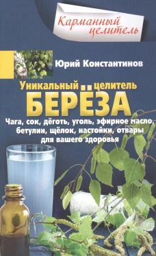 Уникальный целитель береза. Чага, сок, дёготь, уголь, эфирное масло, бетулин, &shy;щёлок, настойки, отва