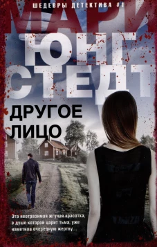 Другое лицо: роман