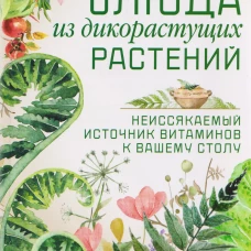 Блюда из дикорастущих растений. Неиссякаемый источник витаминов к вашему столу
