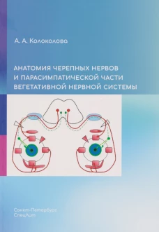 Анатомия черепных нервов и парасимпатической части вегетативной нервной системы (на русском языке)