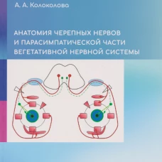 Анатомия черепных нервов и парасимпатической части вегетативной нервной системы (на русском языке)