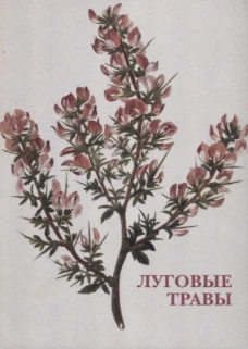 Луговые травы