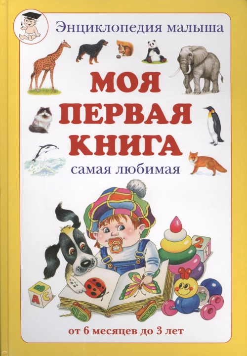 Моя первая книга