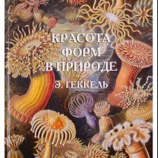 Красота форм в природе. Э. Геккель