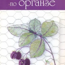 Мотивы вышивки по органзе