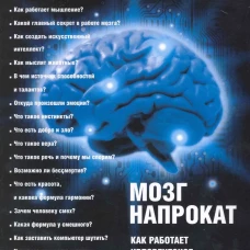 Мозг напрокат. Как работает человеческое мышление и как создать душу для компьютера