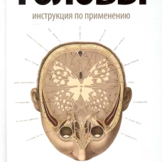 Краткая история головы: Инструкция по применению
