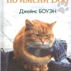 Уличный кот по имени Боб. Как человек и кот обрели надежду на улицах Лондона