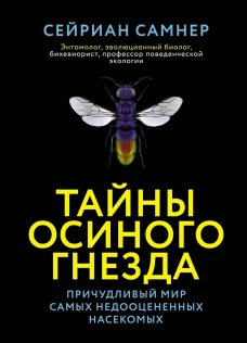 Тайны осиного гнезда: причудливый мир самых недооцененных насекомых