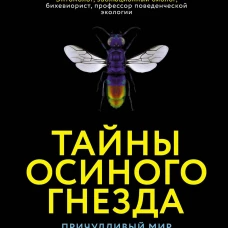 Тайны осиного гнезда: причудливый мир самых недооцененных насекомых