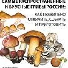 Самые распространенные и вкусные грибы России.Как правильно отлич,собр.и.приготов
