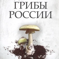 Ядовитые грибы России