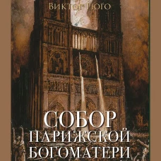 Собор Парижской Богоматери. Роман