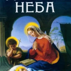 Дочери Неба (обл.). 2-е изд. Кевхишвили В.А.
