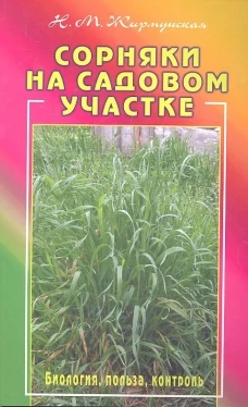 Сорняки на вашем участке. Биология, польза, контр.