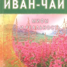 Иван - чай. Мифы и реальность
