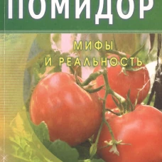 Помидор. Мифы и реальность
