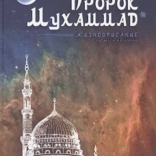 Пророк Мухаммад. Жизнеописание лучшего из людей (мечеть). Аляутдинов И.