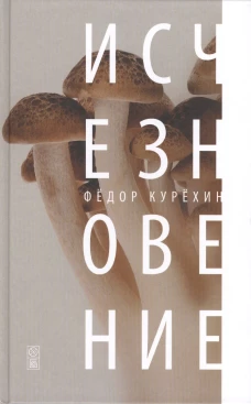 Исчезновение