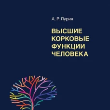 Высшие корковые функции человека