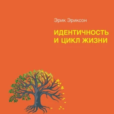 Идентичность и цикл жизни