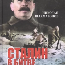 Николай Шахмагонов: Сталин в битве за Москву