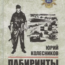 Лабиринты тайной войны